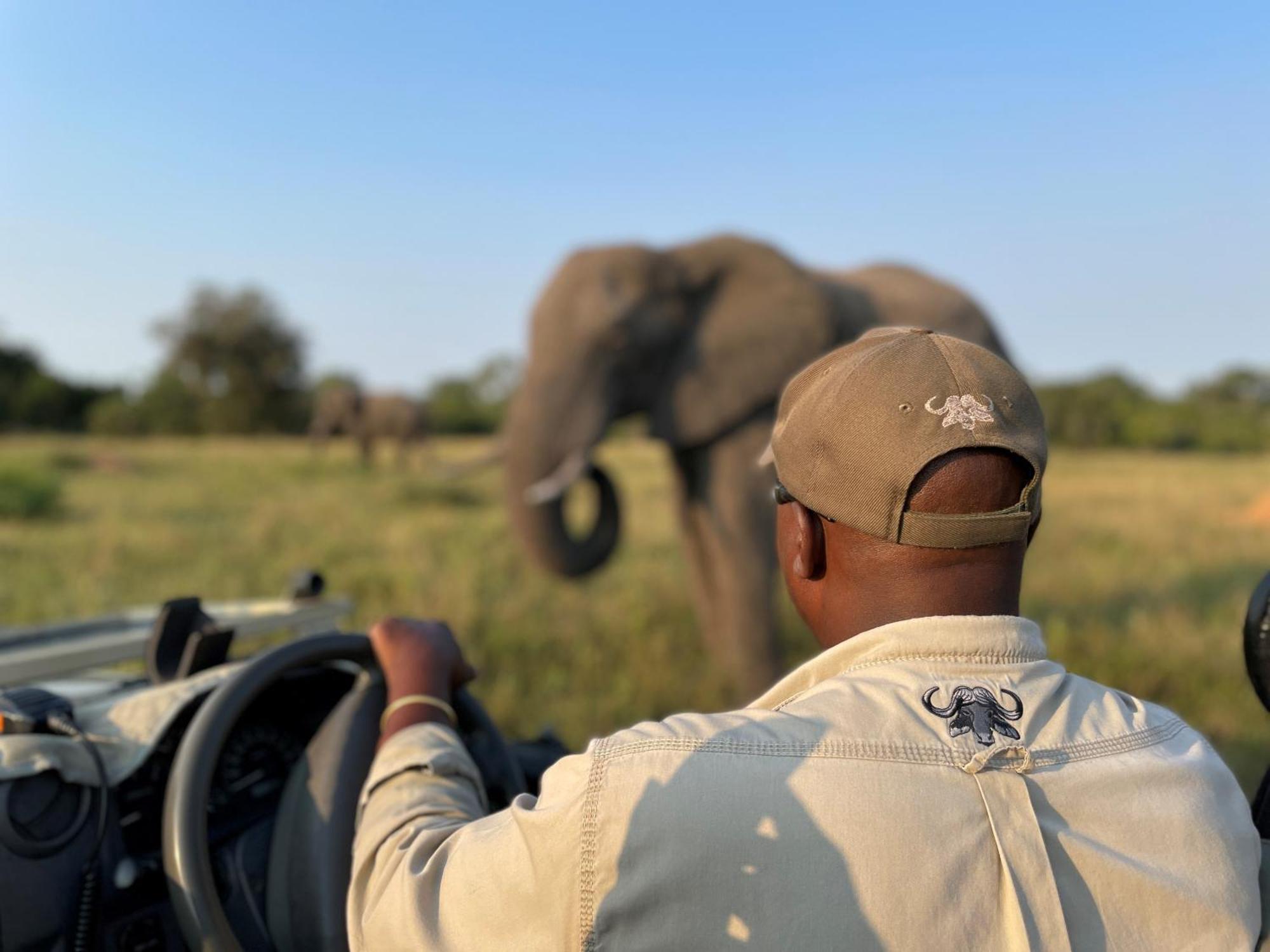 Inyati Game Lodge Sabi Sands viltreservat Exteriör bild