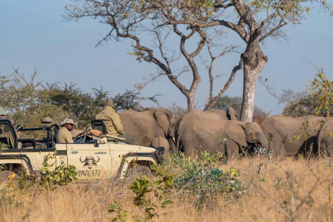 Inyati Game Lodge Sabi Sands viltreservat Exteriör bild